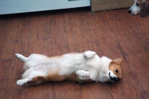 1380944577-425748438