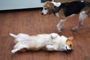 1380944578-2256390469