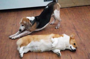 1380944578-2840953432