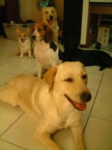 1380944587-1905543299