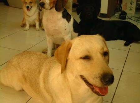 1380944587-1905543299