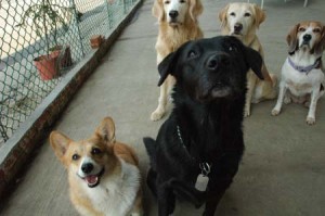 1380944587-875447363