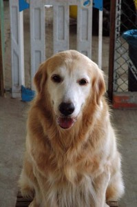 1380944589-650932585