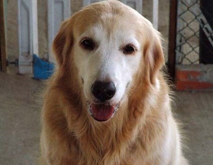 1380944589-650932585