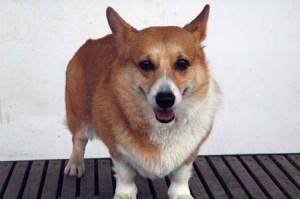 1380944590-1616934209