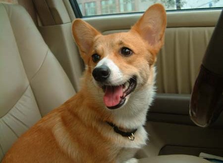 1380944590-1667273124