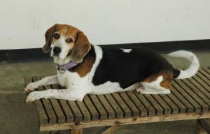 1380944591-504180144