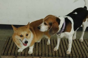 1380944591-646428562