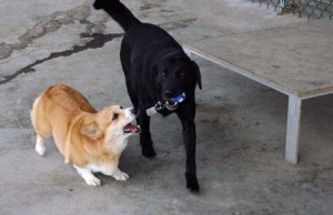 1380944592-1442296673