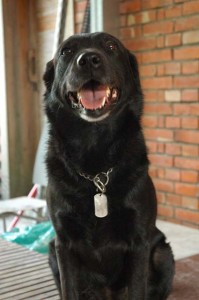 1380944592-372385455