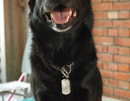 1380944592-372385455