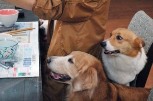 1380944593-212023210