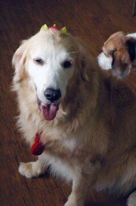 1380944593-3765688728