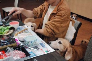 1380944594-495825377