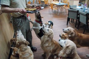 1380944596-2372782104