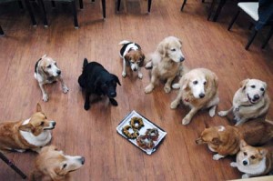 1380944596-3952302969