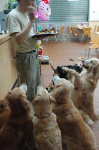 1380944597-1323335270