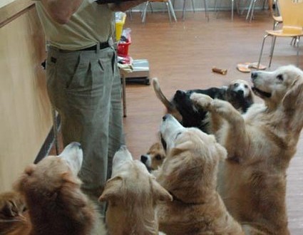 1380944597-1323335270