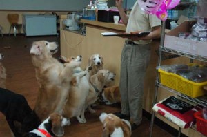 1380944597-1632566051