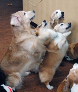 1380944597-4140286148