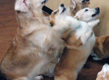 1380944597-4140286148