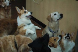 1380944598-3875629966