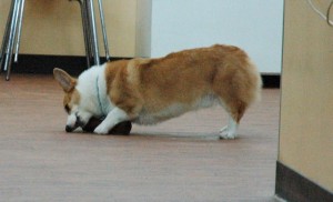 1380944599-2741455666