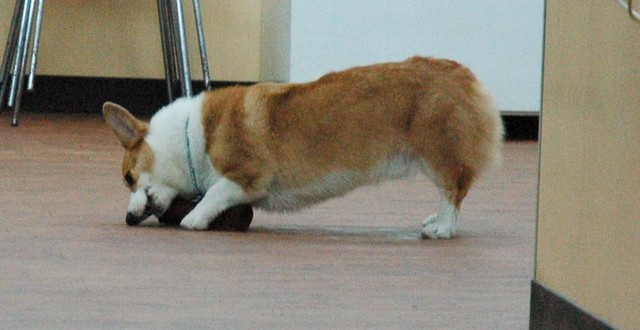 1380944599-2741455666