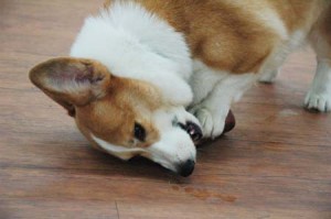 1380944599-753094018