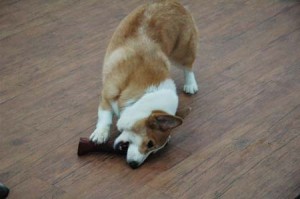 1380944600-1908913911