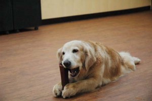 1380944600-2587758502