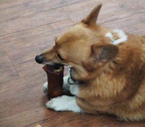 1380944600-4193261628