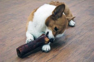 1380944601-1136170552