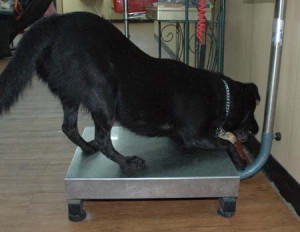 1380944602-2076663448