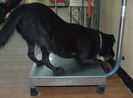 1380944602-2076663448