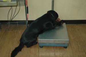 1380944602-607315927