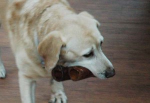 1380944603-268234223