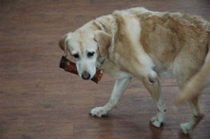 1380944603-3329595428