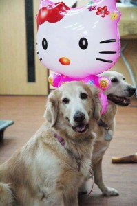 1380944604-2822414480