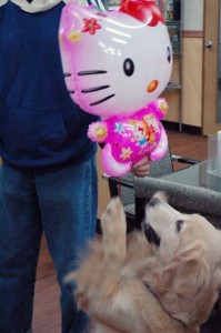 1380944605-2927823169