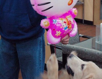 1380944605-2927823169