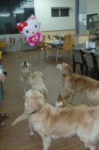 1380944605-971859910