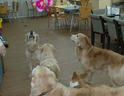 1380944605-971859910