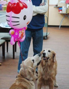 1380944606-1226860948