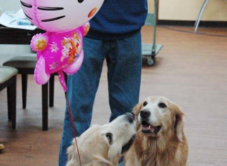 1380944606-1226860948