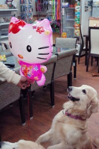 1380944606-3194243539