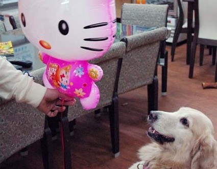 1380944606-3194243539