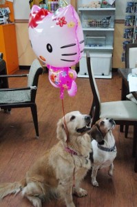 1380944607-408816079