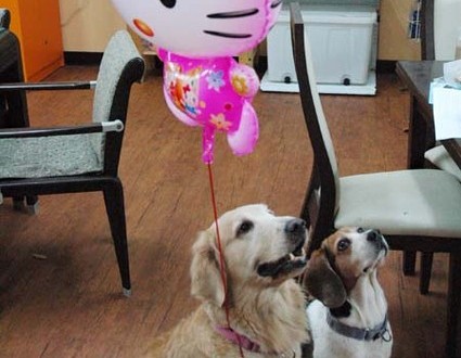 1380944607-408816079