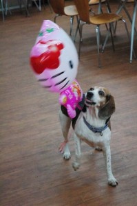 1380944608-3567971780